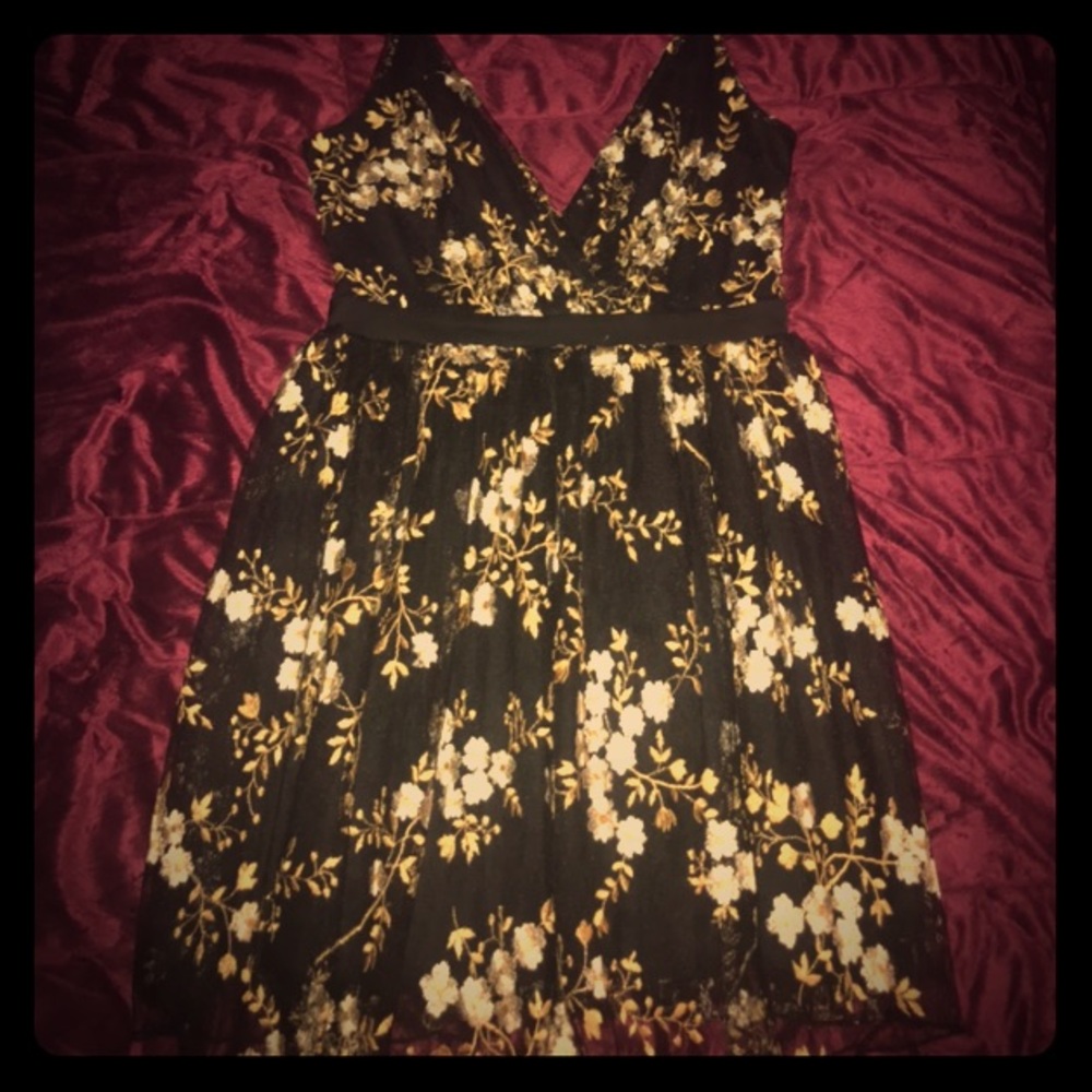 EXPRESS Embroidered Floral Laced Fit & Flare Dress